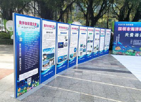 浦北KT板的种类和知识。